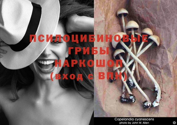 сатива Иннополис