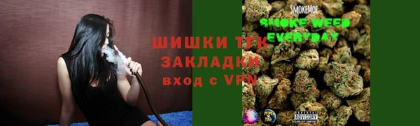 метадон Инта