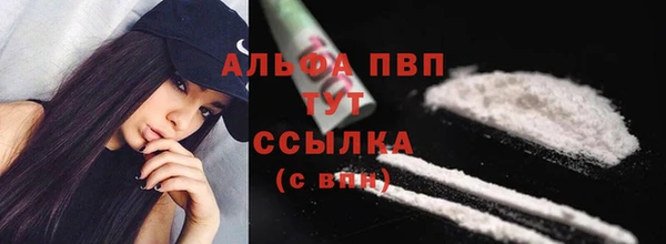 сатива Иннополис