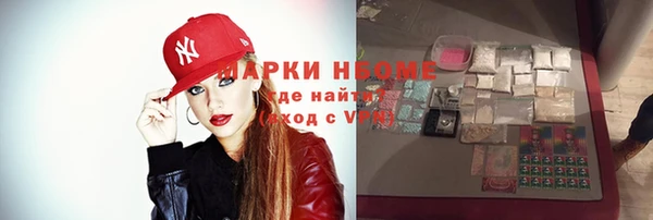 сатива Иннополис