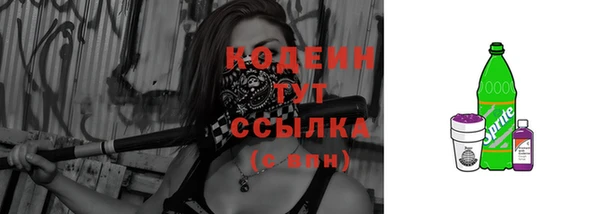метадон Инта