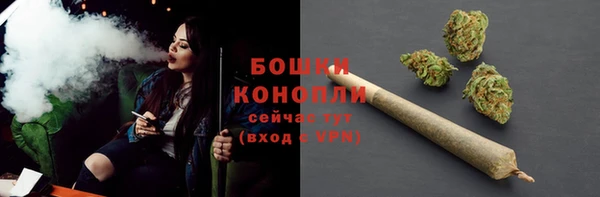 сатива Иннополис