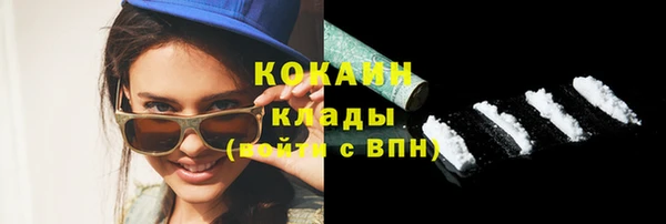 сатива Иннополис