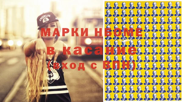 сатива Иннополис