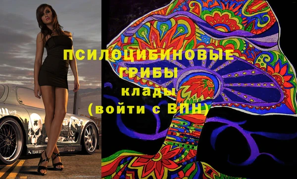 метадон Инта