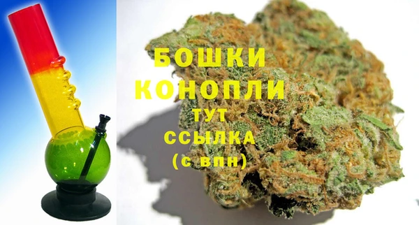 сатива Иннополис