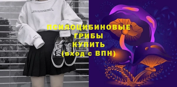 метадон Инта