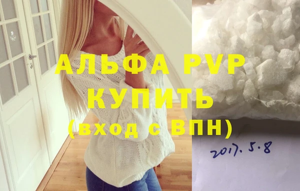 сатива Иннополис
