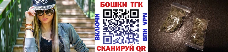 Купить закладки  Гусев  Канабис сатива 
